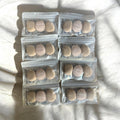 MORPHE